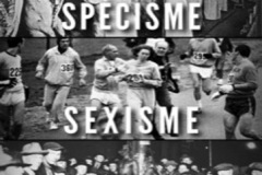 sexismespecismeracisme