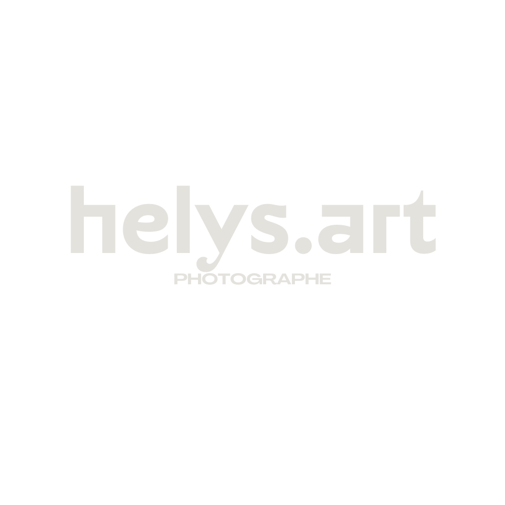 Helys Art